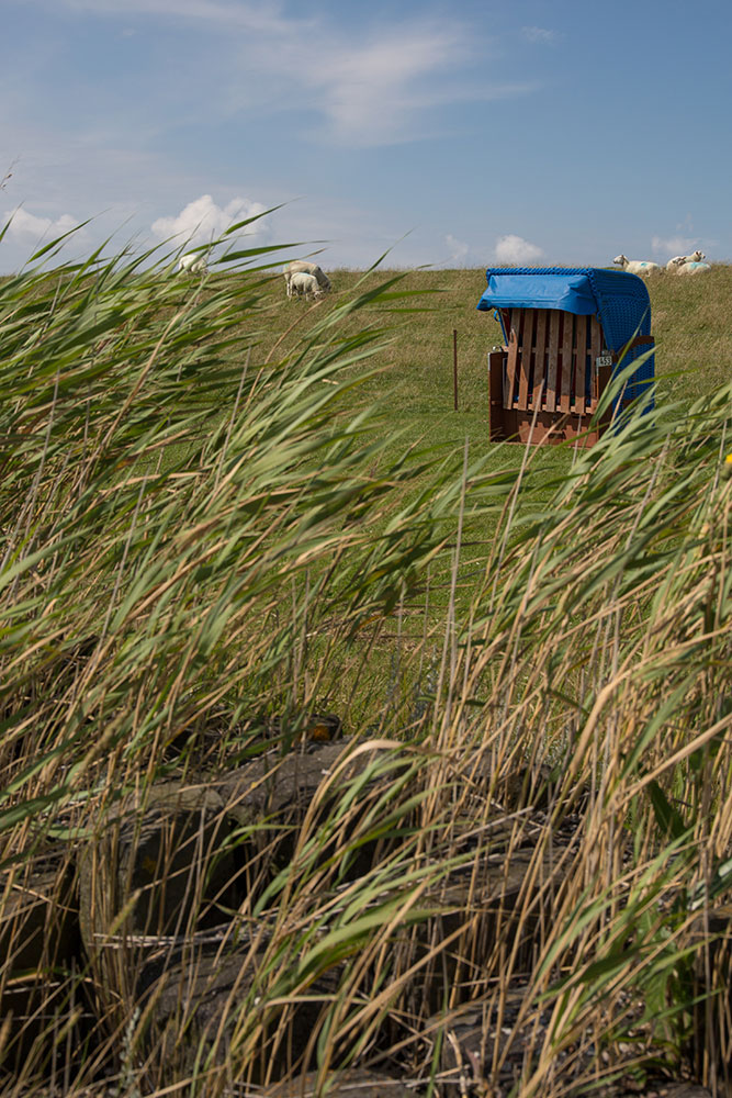 nordsee-urlaub-insel-pellworm